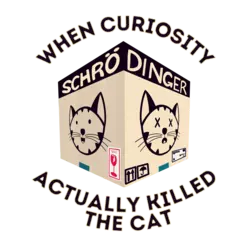 20210039